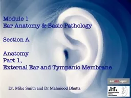 Module 1 Ear Anatomy & Basic Pathology