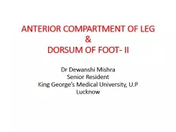 ANTERIOR  COMPARTMENT  OF LEG