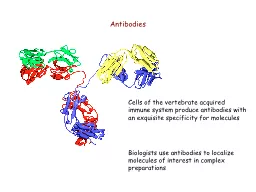 Biologists use antibodies to localize molecules of interest in complex preparations