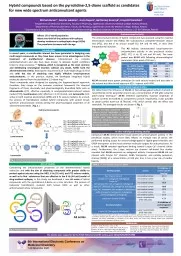 Hybrid compounds based on the pyrrolidine-2,5-dione scaffold as candidates