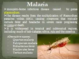 Malaria  mosquito-borne infectious disease  caused   by genus