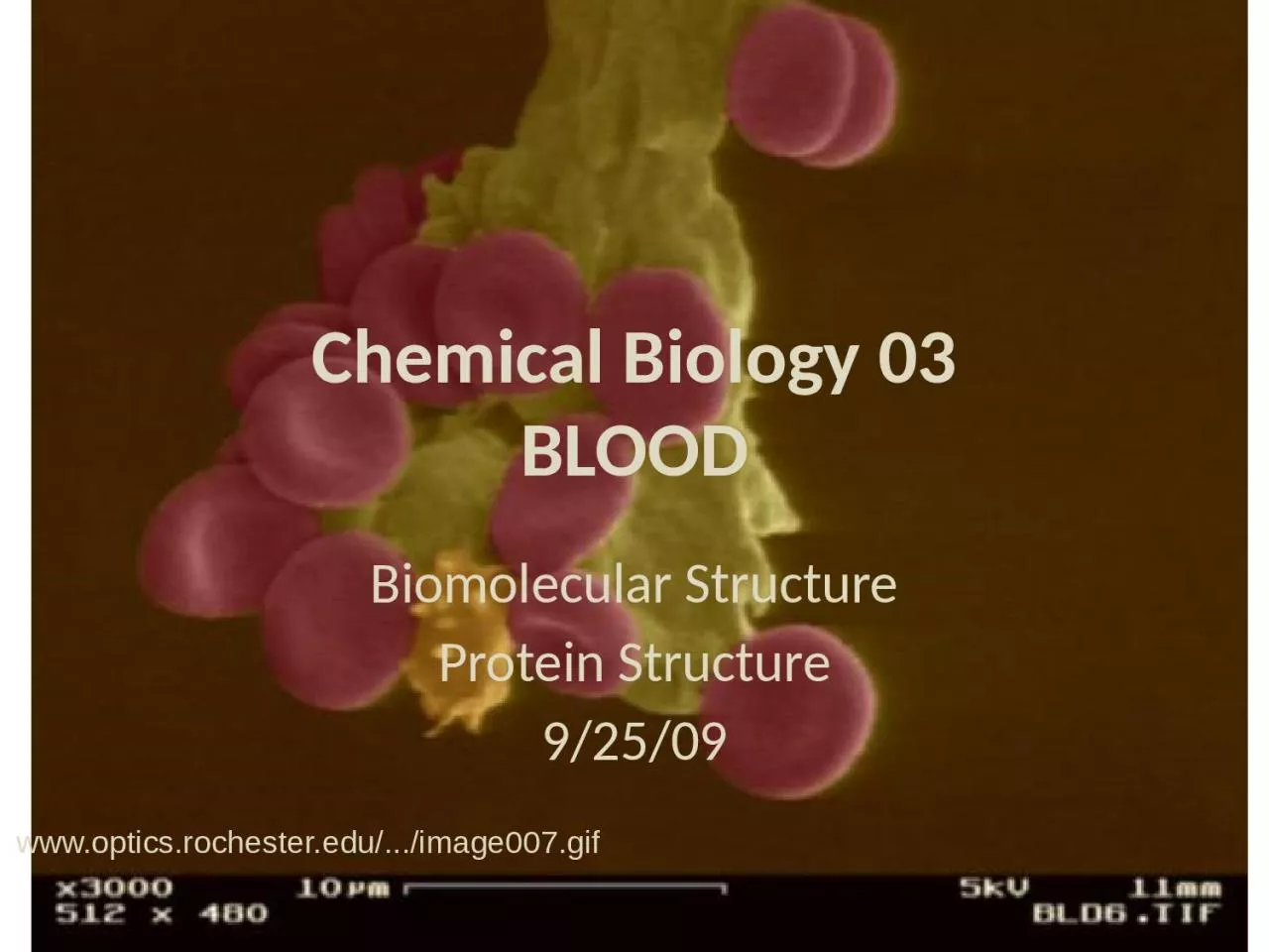 PPT-Chemical Biology 03 BLOOD