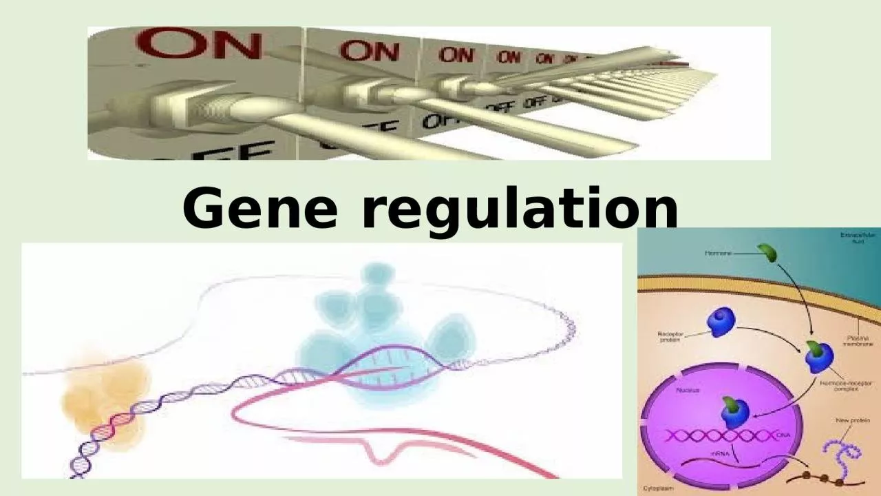 Gene regulation  Control of Gene Expression