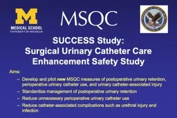 PPT-SUCCESS Study: Surgical Urinary Catheter Care Enhancement Safety Study