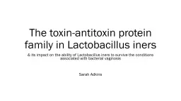 The toxin-antitoxin protein family in Lactobacillus