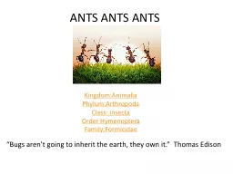 ANTS ANTS ANTS Kingdom:Animalia
