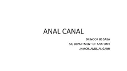 ANAL CANAL DR NOOR US SABA