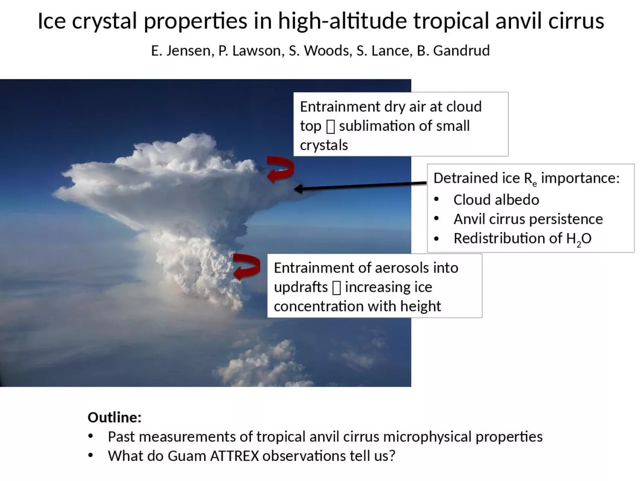 Ice crystal properties in high-altitude tropical anvil cirrus