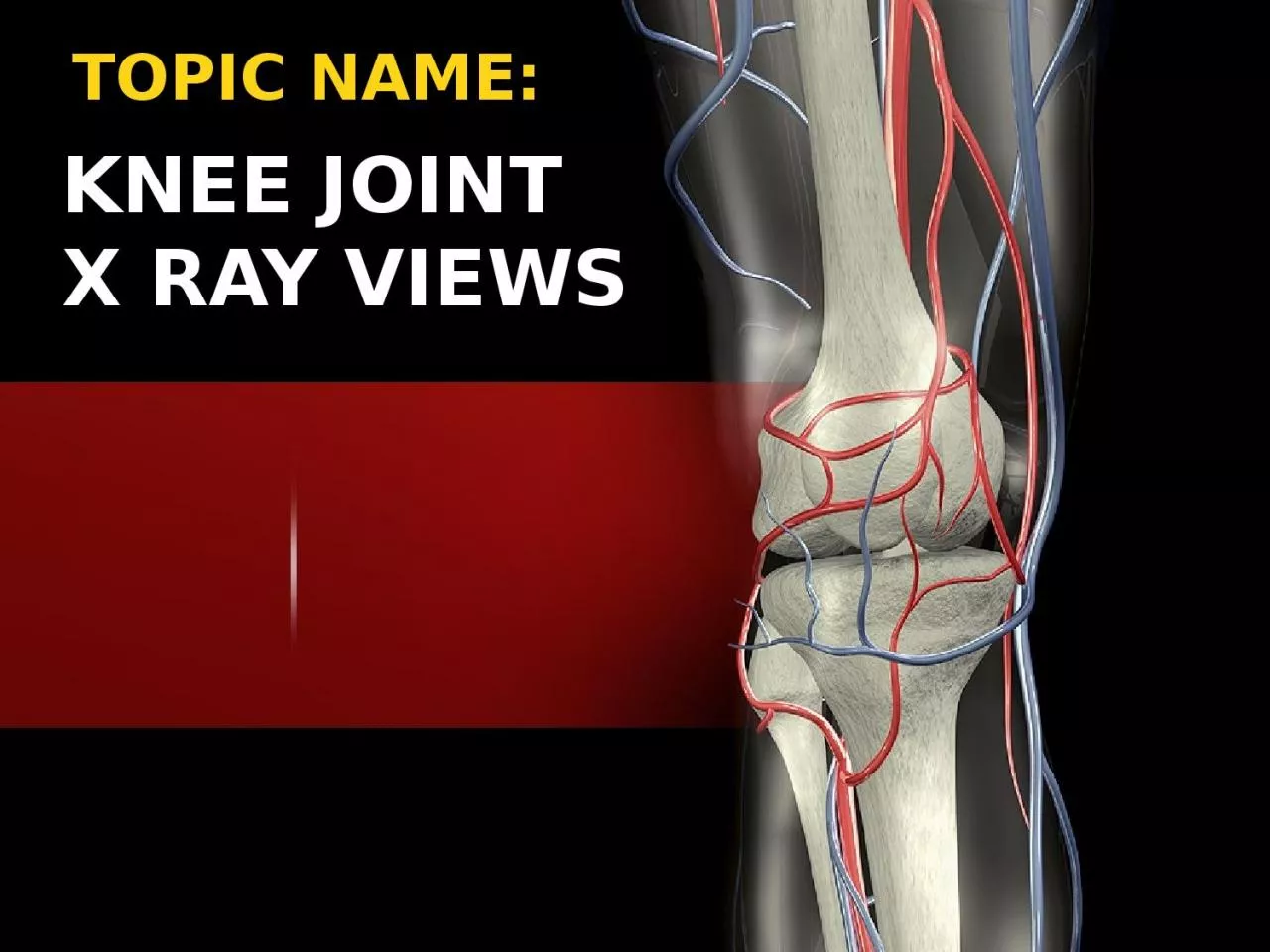 PPT-KNEE JOINT X RAY VIEWS