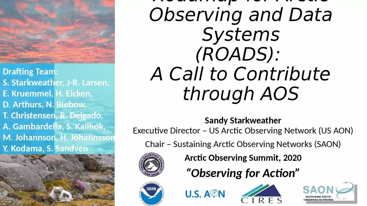 PPT-SAON’s Roadmap for Arctic Observing and Data Systems