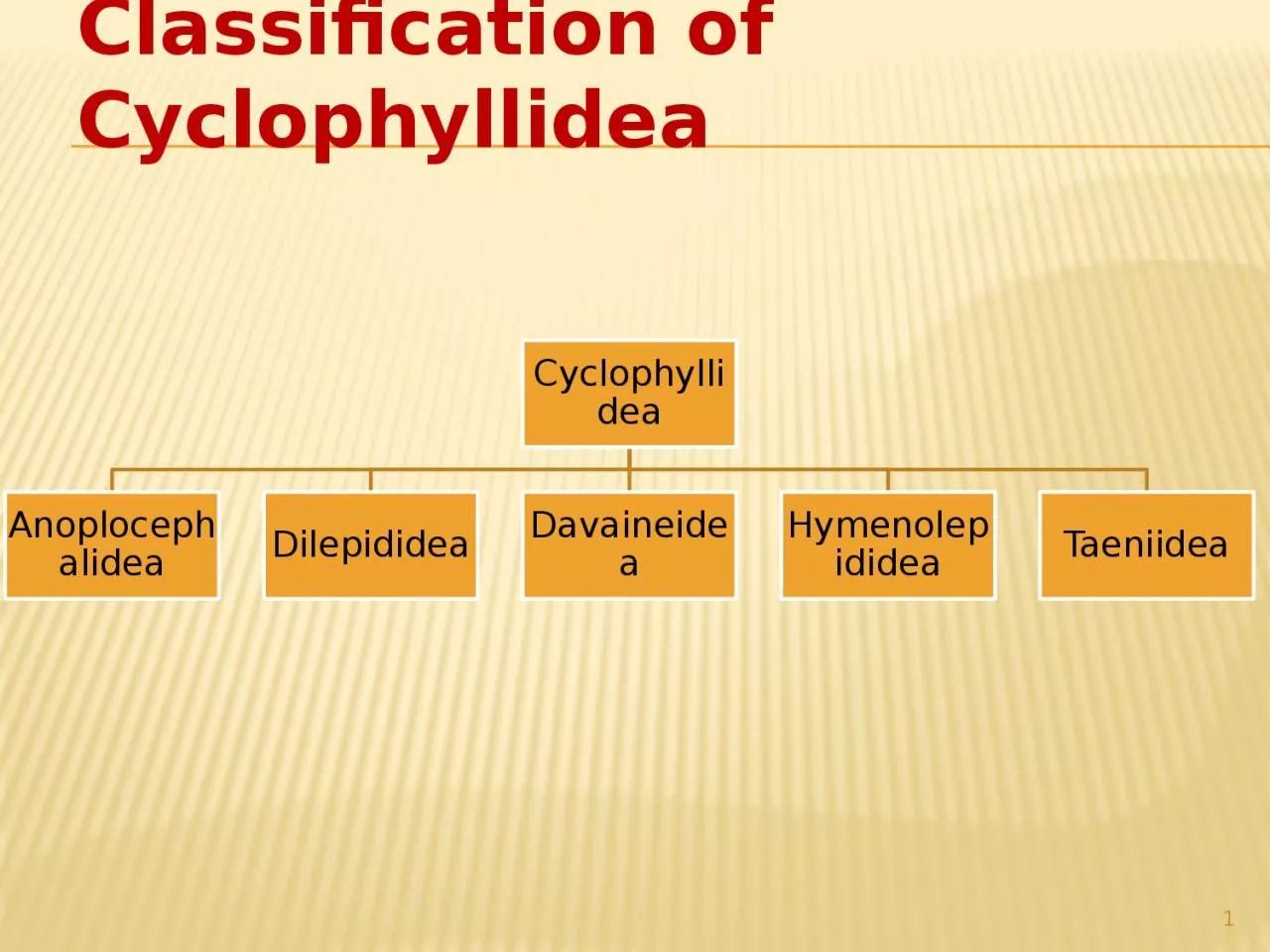 Classification of  Cyclophyllidea