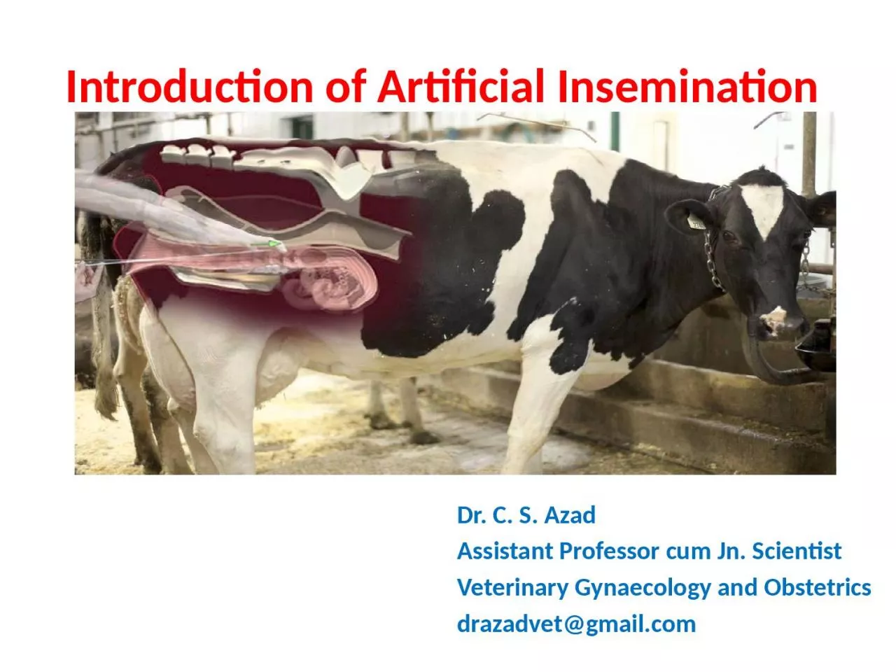 PPT-Introduction of Artificial Insemination