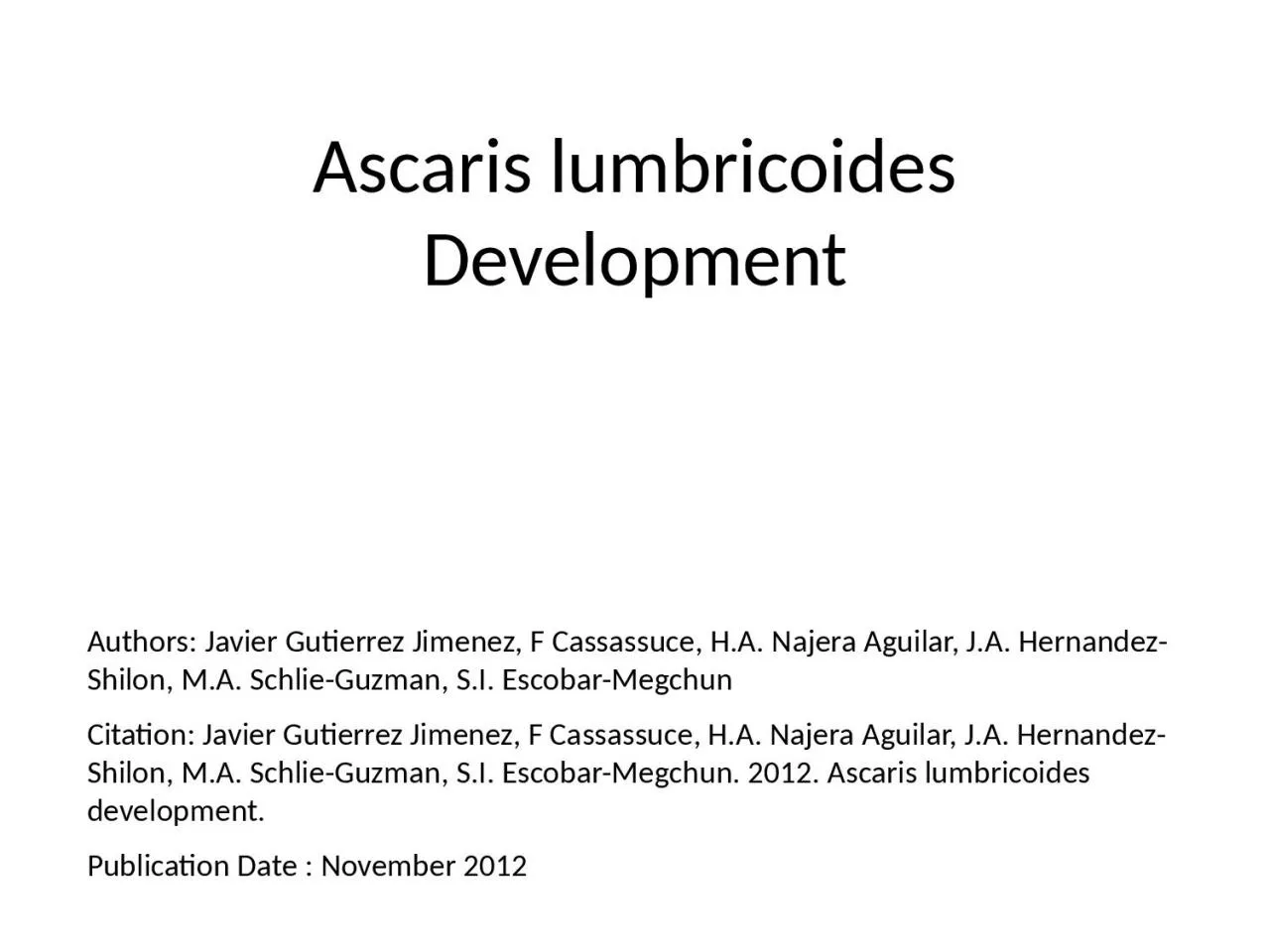 PPT-Ascaris lumbricoides Development