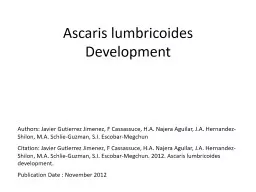 Ascaris lumbricoides Development