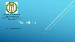 The Vibrio Dr Ali Abdulwahid