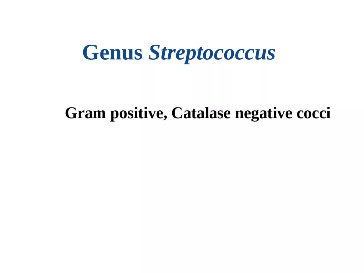 Genus  Streptococcus Gram positive, Catalase negative cocci