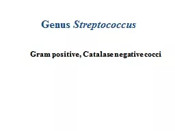 Genus  Streptococcus Gram positive, Catalase negative cocci