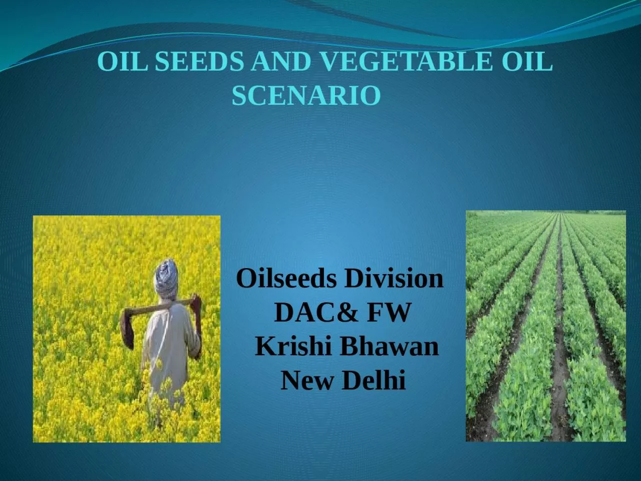 OIL SEEDS AND VEGETABLE OIL SCENARIO