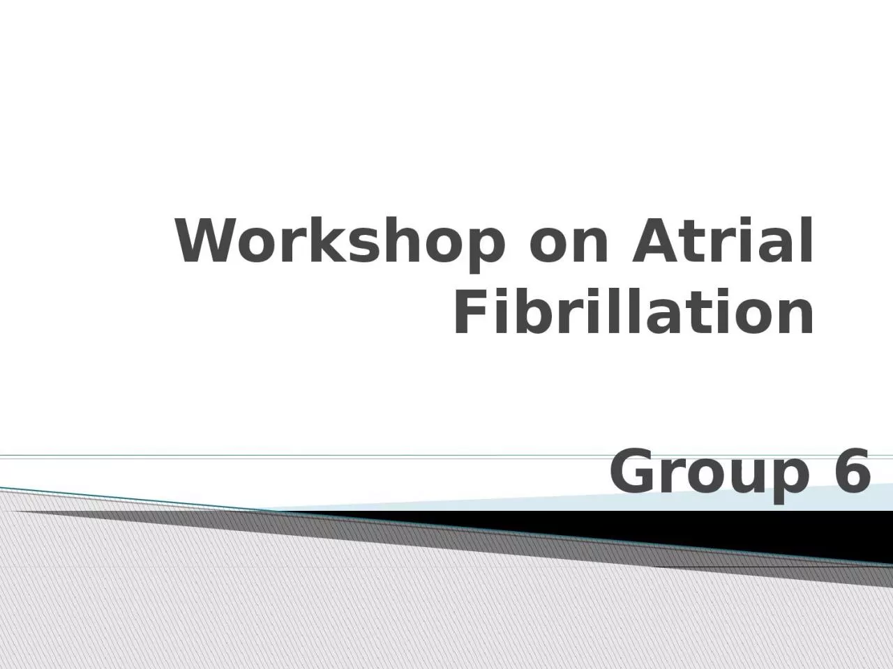 Workshop on Atrial Fibrillation