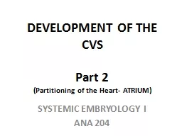 DEVELOPMENT OF THE CVS Part