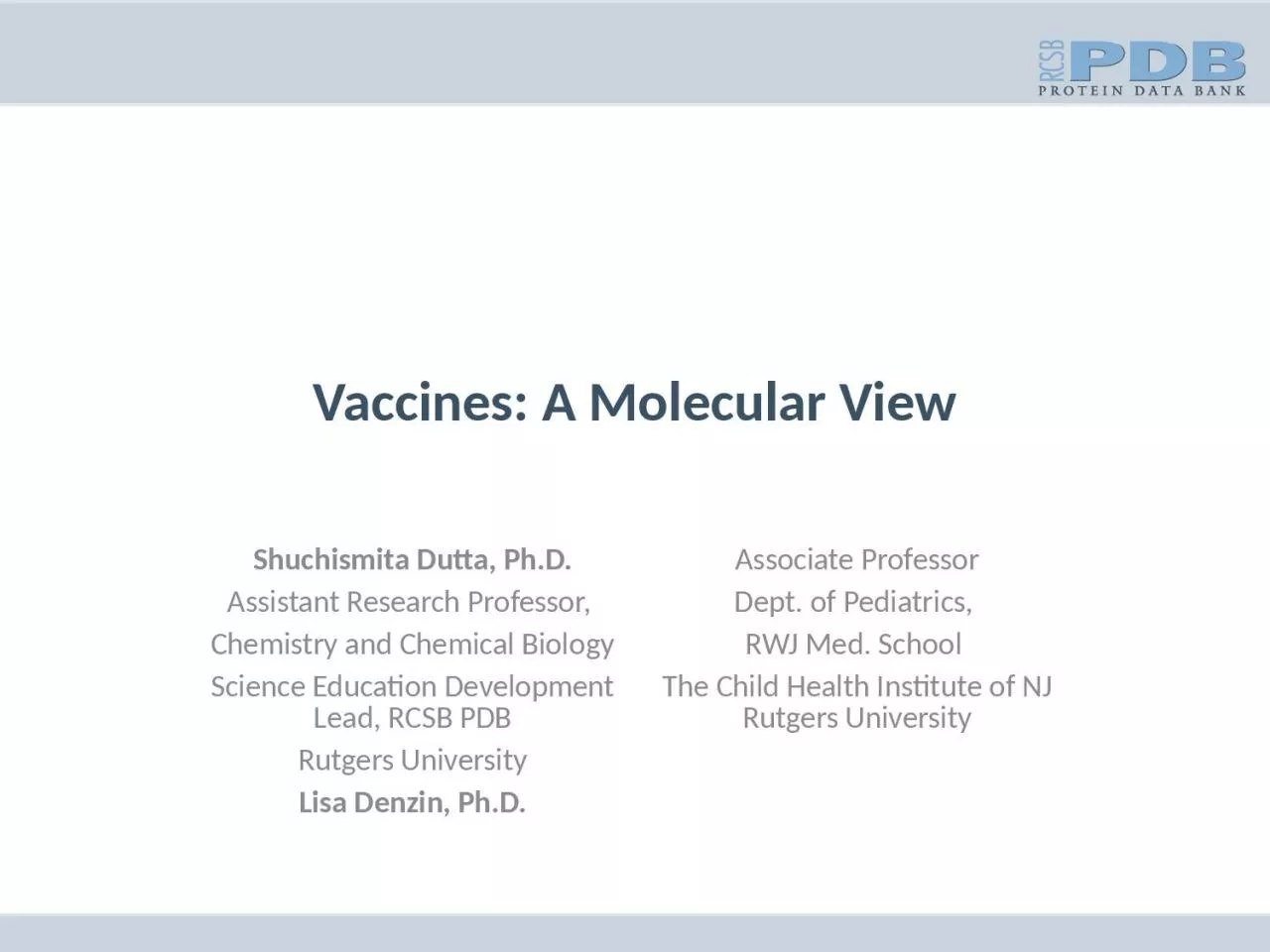 PPT-Vaccines: A Molecular View