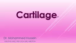 Cartilage Dr. Mohammed Hussein