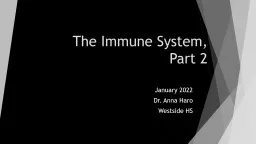 The Immune System, Part 2
