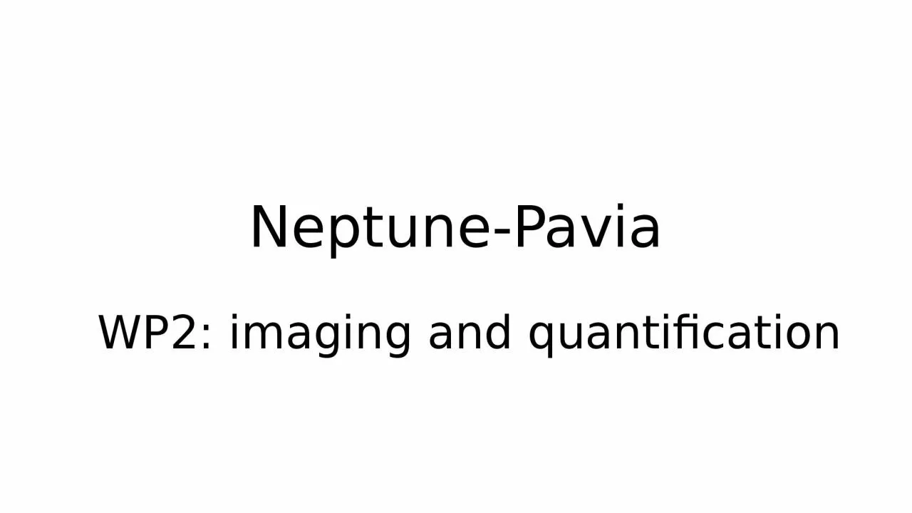 PPT-Neptune -Pavia WP2: imaging and quantification