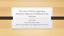 The role of FAO in supporting laboratory diagnosis of influenza in the Americas