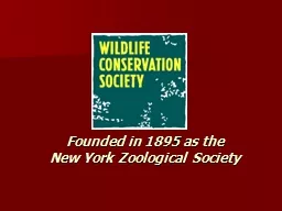 PPT-Founded in 1895 as the New York Zoological Society