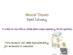 Neural Tissues Digital Laboratory