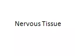 Nervous Tissue Objectives