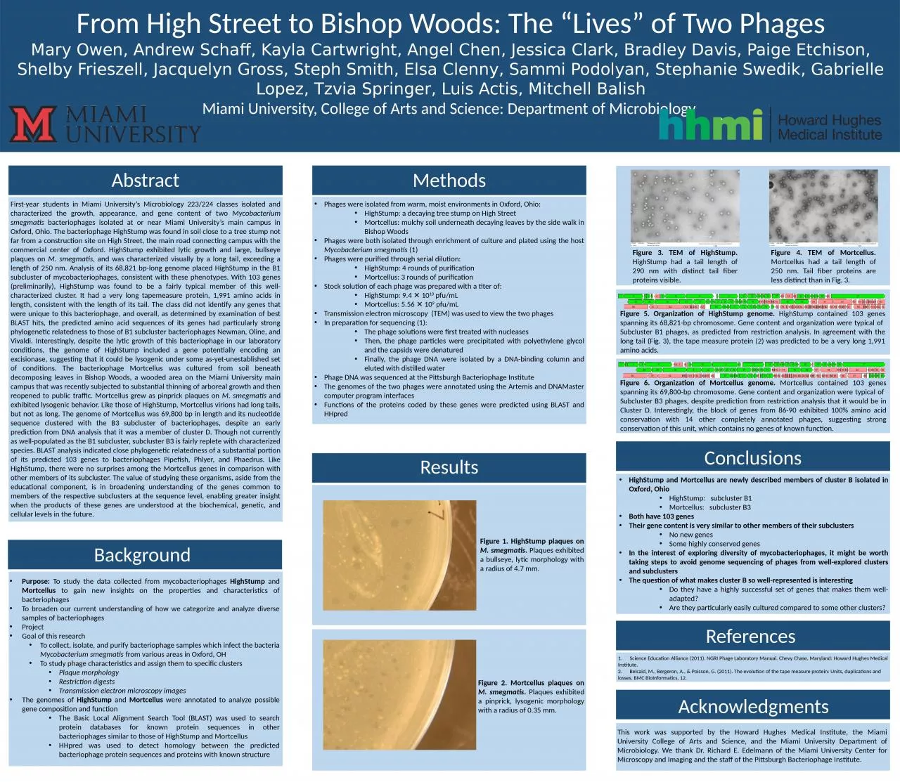 PPT-From High Street to Bishop Woods: The “Lives” of Two Phages