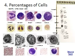 4 . Percentages of Cells