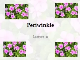 Periwinkle Lecture 11 Introduction