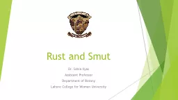Rust and Smut Dr. Sobia