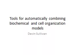 Tools for automatically combining biochemical and cell organization models