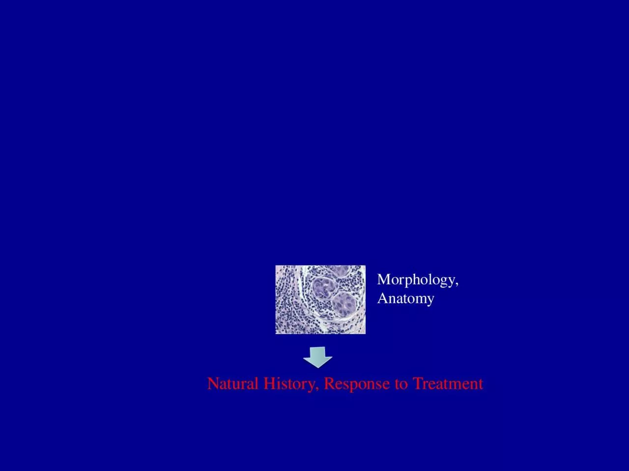 PPT-Natural History, Response to Treatment