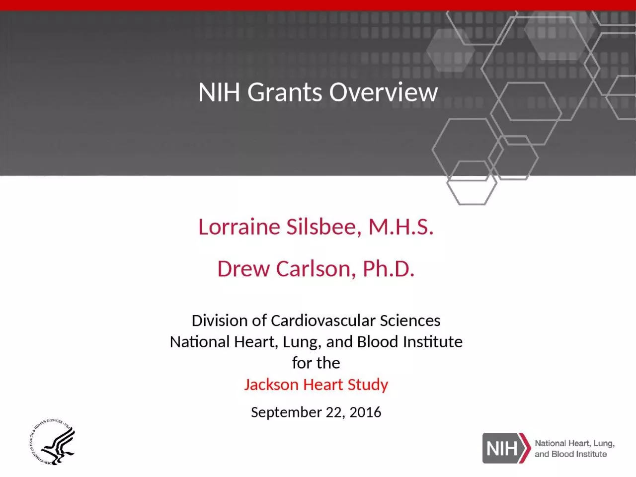 PPT-NIH Grants Overview Lorraine Silsbee, M.H.S.