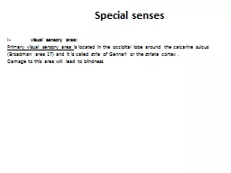 Special  senses I-	 visual sensory