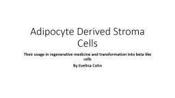 Adipocyte Derived Stroma Cells