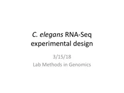 C.  elegans   RNA- Seq