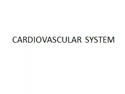 CARDIOVASCULAR SYSTEM Heart: