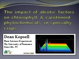 The impact of abiotic factors on chlorophyll & carotenoid phytochemicals in specialty crops