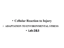 Cellular Reaction to  Injury