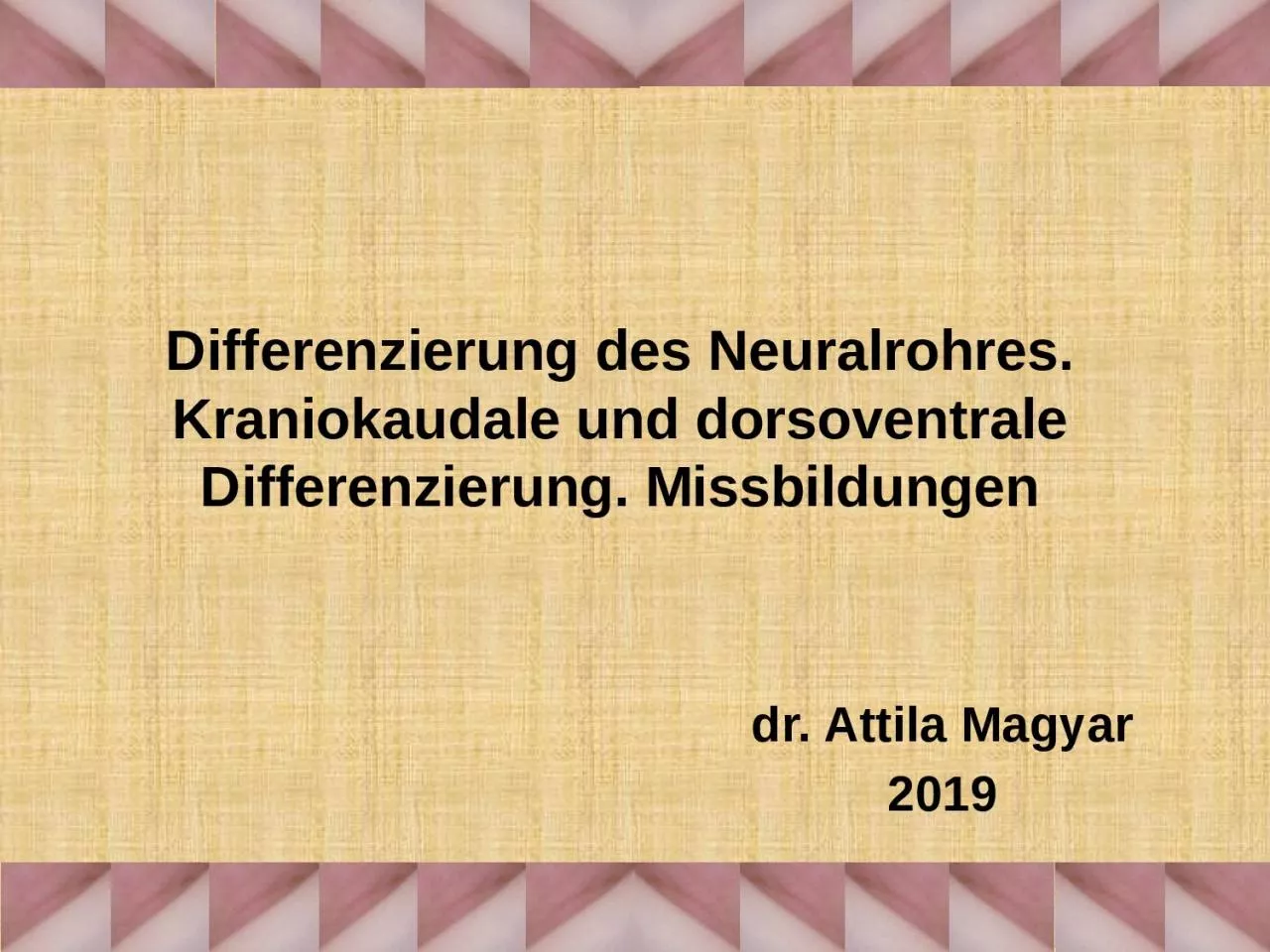 PPT-D ifferenzierung des Neuralrohres. Kraniokaudale und dorsoventrale Differenzierung. Missbildungen