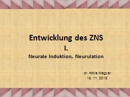 D ifferenzierung  des Neuralrohres. Kraniokaudale und dorsoventrale Differenzierung. Missbildungen