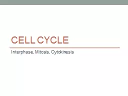 Cell cycle Interphase, Mitosis, Cytokinesis