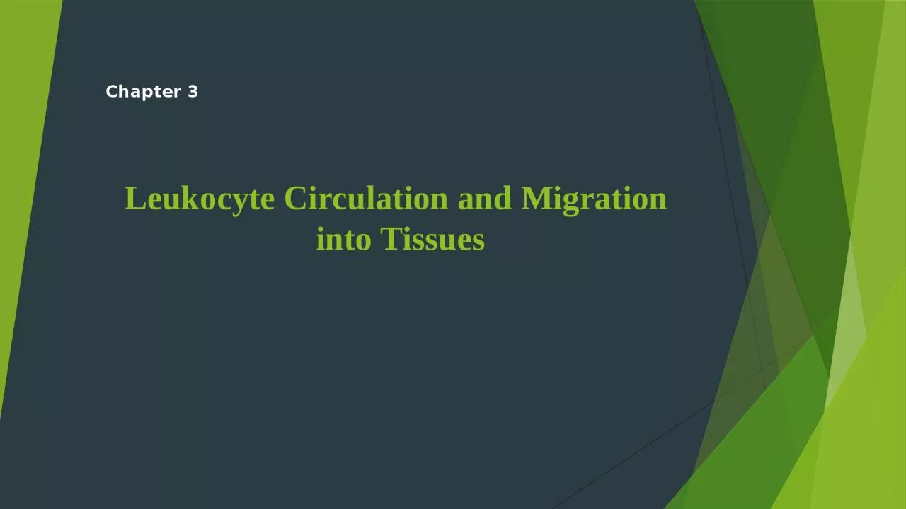 Leukocyte Circulation  and Migration