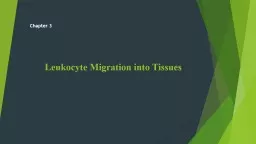 Leukocyte Circulation  and Migration